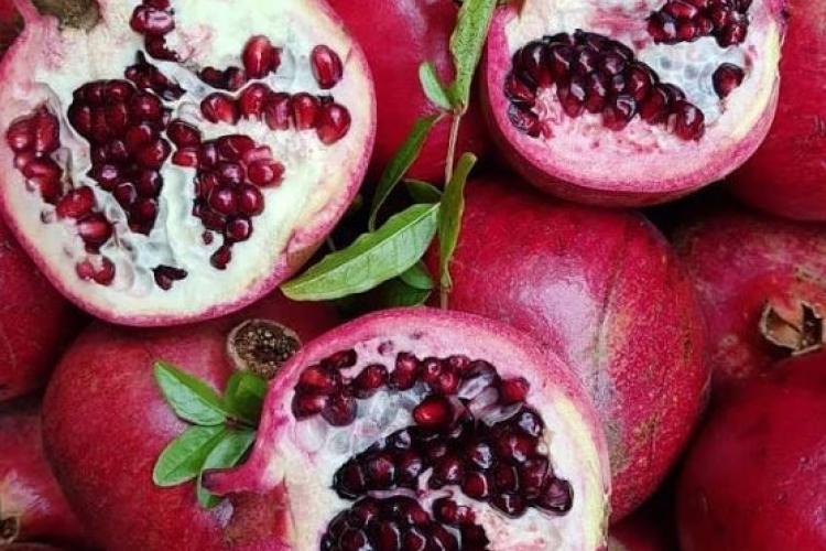 Cosi & Lisa Mildura Produce Weekly Farmers Market